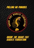  Thomas Daw - Pulling No Punches. Inside The Snake Fist Karate Federation.