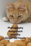  Pamela jean Curry - Photography Assignment With the Ginger Cat Family - Ginger Cat Family, #5.