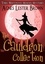  Agnes Lester Brown - The Cauldron Collection - The Whitewood Witches of Fennelmoore.