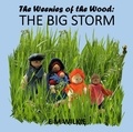  E M Wilkie - The Big Storm - The Weenies of the Wood Adventures.