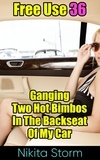  Nikita Storm - Free Use 36: Ganging Two Hot Bimbos In The Backseat Of My Car - Free Use, #36.