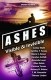  Catholic Teen Books - Ashes: Visible &amp; Invisible - Visible &amp; Invisible Series.