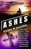  Catholic Teen Books - Ashes: Visible &amp; Invisible - Visible &amp; Invisible Series.