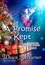  Dawn M. Turner - A Promise Kept - Christmas Past, Present &amp; Future Novellas, #3.