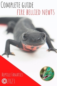  Reptile Fanatics - Complete Guide Fire Bellied Newts.
