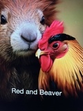 Quicksilver - Red and Beaver.