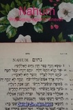  Daniel Zimmermann - Nahum Prophesies against Nineveh.
