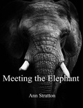  Ann Stratton - Meeting the Elephant.
