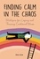  Brian Gibson - Finding Calm In The Chaos Strategies for Coping and Thriving Emotional Stress.