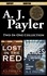  A. J. Payler - Lost In the Red and World of Heroes (Two-in-one Collection).