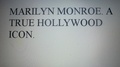  Pat Dwyer - Marilyn Monroe. A True Hollywood Icon..