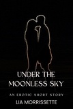  Lia Morrissette - Under the Moonless Sky.