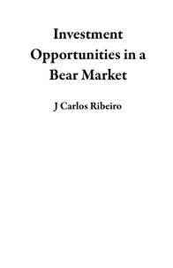  J Carlos Ribeiro - Investment Opportunities in a Bear Market.