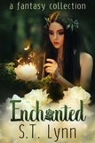 S.T. Lynn - Enchanted: a fantasy collection.