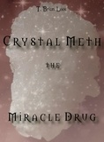  T. Brian Loos - The Miracle Drug - Crystal Meth / English &amp; German Edition.
