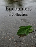  Ann Stratton - Encounters: A Collection.