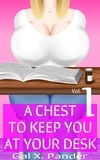  Gal X. Pander - A Chest to Keep You at Your Desk, Vol. 1 - A Chest to Keep You at Your Desk, #1.