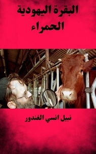  nabil mohammed onsy aly - البقرة اليهودية الحمراء.