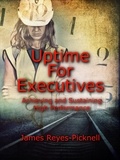  James V. Reyes-Picknell - Uptime for Executives.