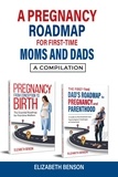  Elizabeth Benson - A Pregnancy Roadmap for First-Time Moms and Dads: A Compilation.