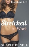 Josephine Red - Stretched at Work Shared Bundle.