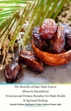  Jannah Firdaus Mediapro et  Cyber Sakura Flower Labs - The Benefits of Date Palm Leaves (Phoenix Dactylifera) From Jannah Firdaus Paradise For Body Health &amp; Spiritual Healing.