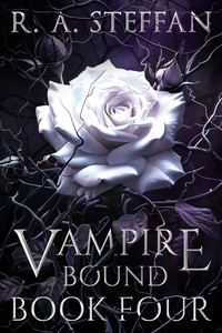  R. A. Steffan - Vampire Bound: Book Four - Last Vampire World, #10.