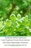  Jannah Firdaus Mediapro et  Cyber Sakura Flower Labs - Tumbuhan Herbal Tradisional Untuk Pengobatan Penyakit Mental Spiritual Dari Hutan Pegunungan Nusantara.