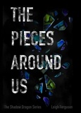  Leigh Ferguson - The Pieces Around Us - Shadow Dragon Series, #2.