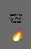  Walter Foster - Meteor!.