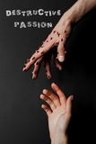 Rafael Lima - Destructive Passion.