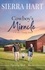  Sierra Hart - Cowboy's Miracle - Hope Valley Ranch Sweet Romance, #4.