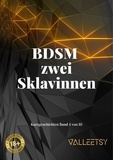  Maria Valleetsy - BDSM zwei Sklavinnen - 10 Kurzgeschichten, #4.