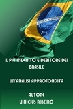  Vinicius Ribeiro - Il Più Indebito e Debitore del Brasile  Un'Analisi Approfondita.