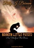  Billy J. Barnum - Broken Little Pieces New Tales from The Baron.