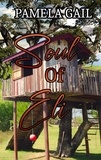  Pamela Gail - Soul of Eli.