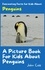  John Cole - A Picture Book for Kids About Penguins - Fascinating Animal Facts.