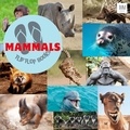  Ginger Ross - Mammals - Animals, #1.