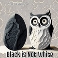  Dan Owl Greenwood - Black is Not White - The Magic of Reading.