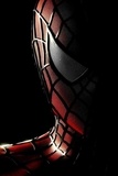  Danniel Silva - Spider-Man - Secrets.