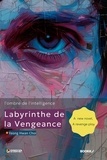  Yeong Hwan Choi - Labyrinthe de la vengeance (l'ombre de l'intelligence) - Labyrinthe de la vengeance, #1.