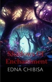  Edna chibisa - Shadows Of Enchantment.