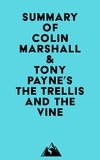  Everest Media - Summary of Colin Marshall &amp; Tony Payne's The Trellis and the Vine.