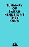  Everest Media - Summary of Sarah Kendzior's They Knew.