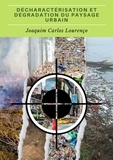  Joaquim Carlos Lourenço - Décharactérisation et dégradation du paysage urbain.