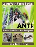  Isis Gaillard - Ant Photos and Facts for Everyone - Learn With Facts Series, #133.