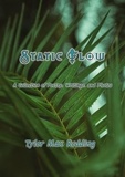  Tyler Max Redding - Static Flow.