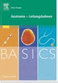 BASICS Anatomie - Leitungsbahnen.