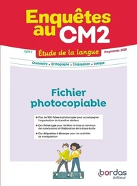 Enquêtes au CM2 Etude de la langue