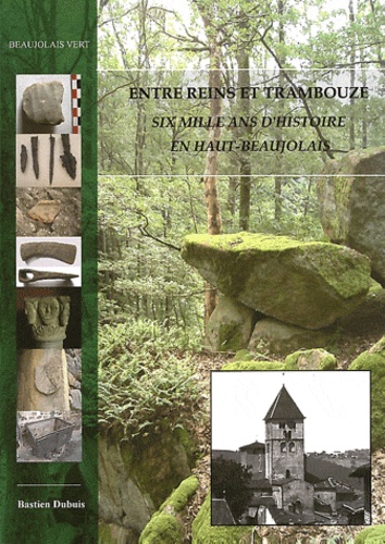 Bastien Dubuis - Entre Reins et Trambouze - Six mille ans d'histoire en Haut-Beaujolais.